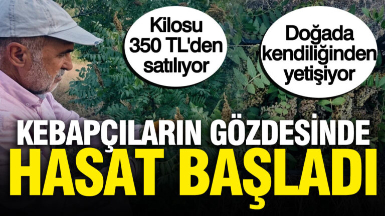 haber-gorseli-1786450421418