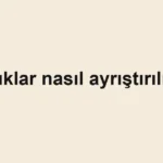 atiklar-nasil-ayristirilir