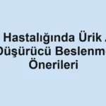 gut-hastaliginda-urik-asit-dusurucu-beslenme-onerileri
