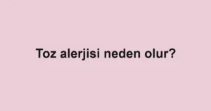 toz-alerjisi-neden-olur